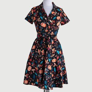 Eva Rose Fall Pumpkin Print T-Shirt Fit & Flare Dress With Pockets